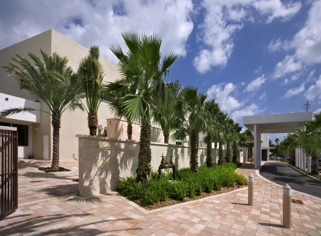 exterior palm trees line