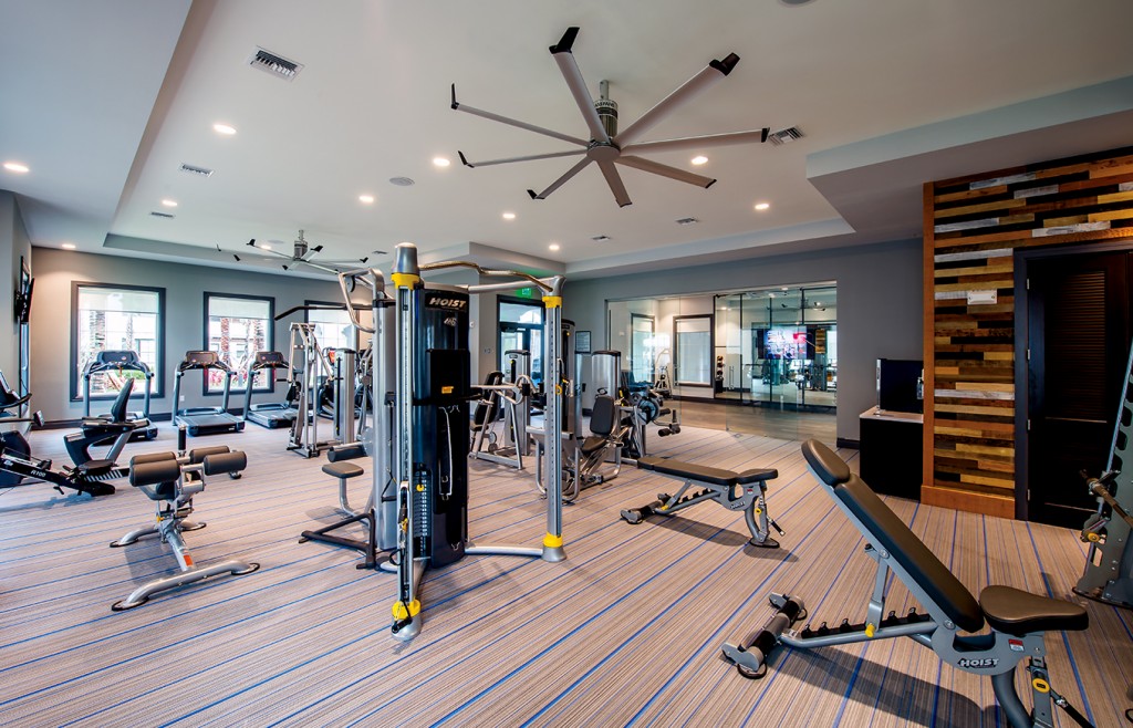 gym-web